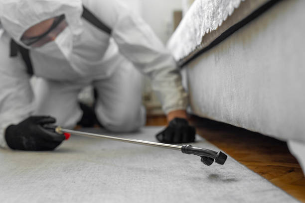 Professional Mosquito Control technician working in Chepachet, RI