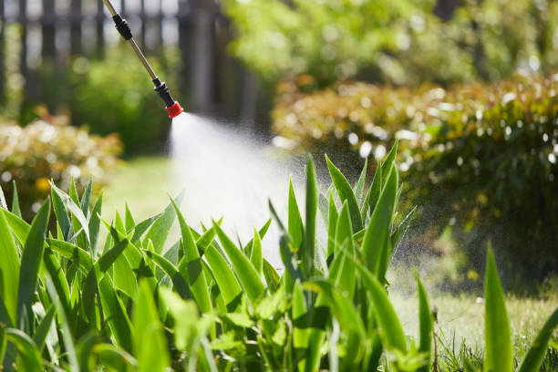 24/7 Emergency Mosquito Control experts in Chepachet, RI