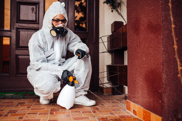 Reliable Mosquito Control contractor in Chepachet, RI by Nex Pest Control