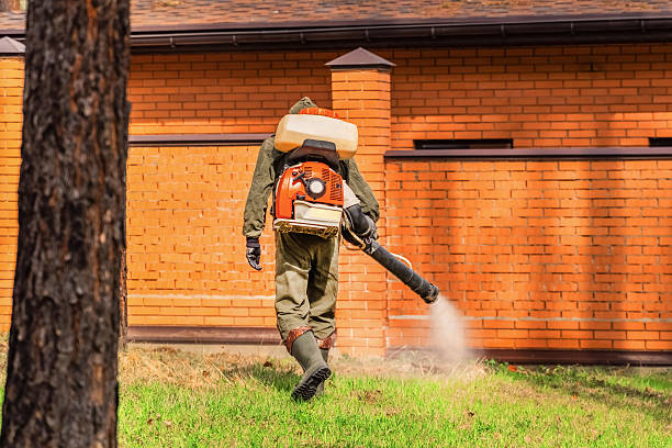 Top rated local Mosquito Control specialists in Chepachet, RI